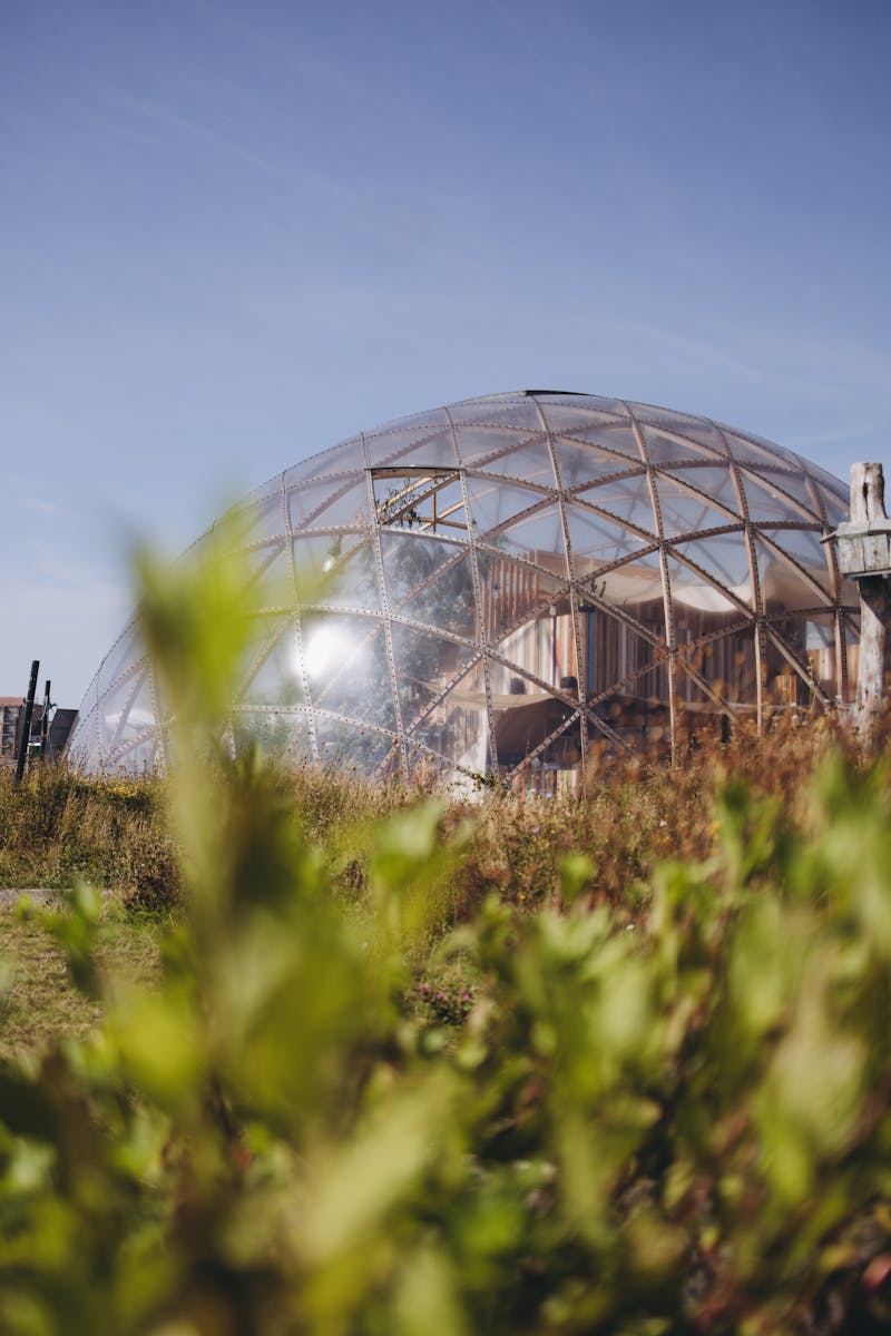 Modern Geodesic Dome in Sunlit Grassland